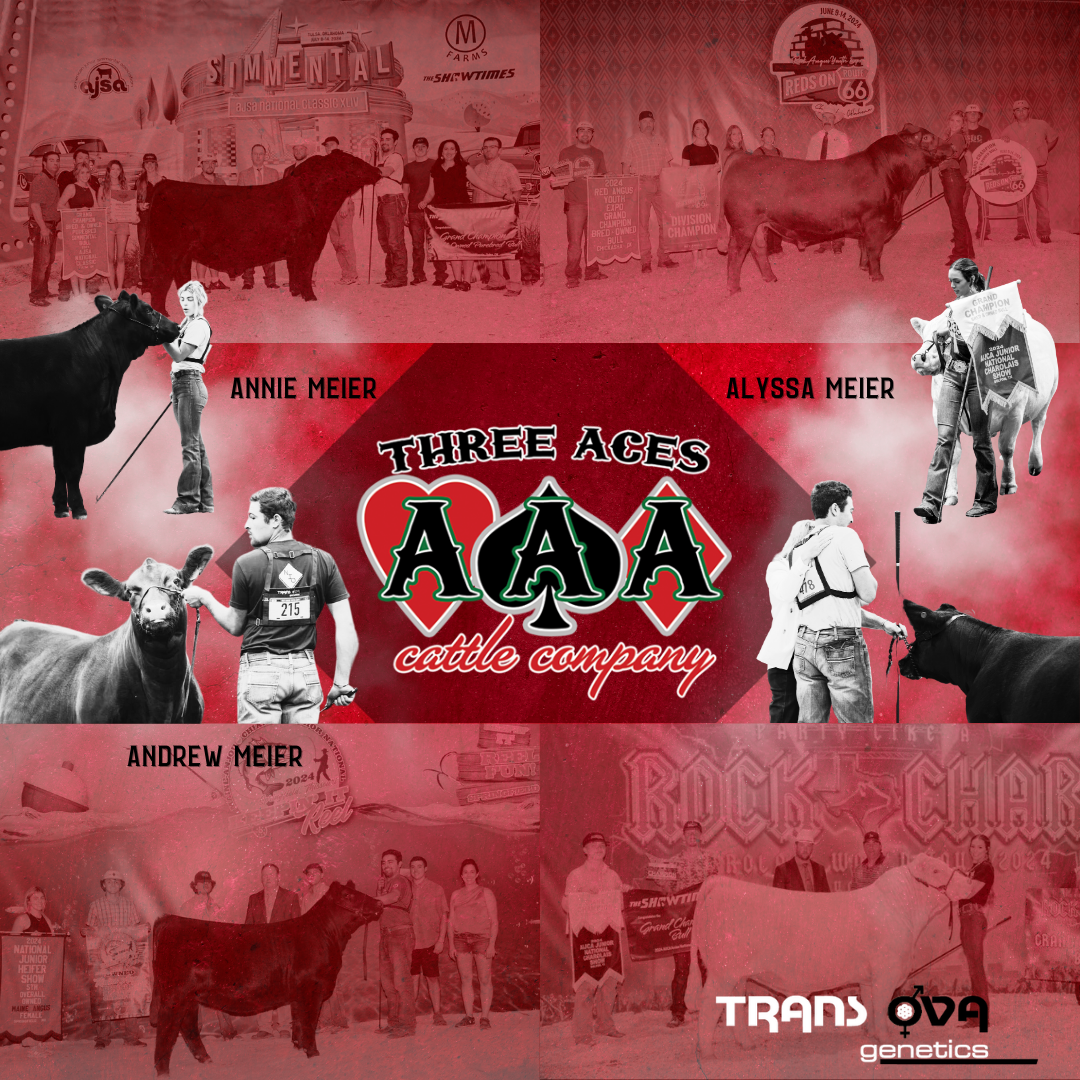 Success Both In and Out of the Ring &#8211; The Meier Family, Three Aces Cattle Company