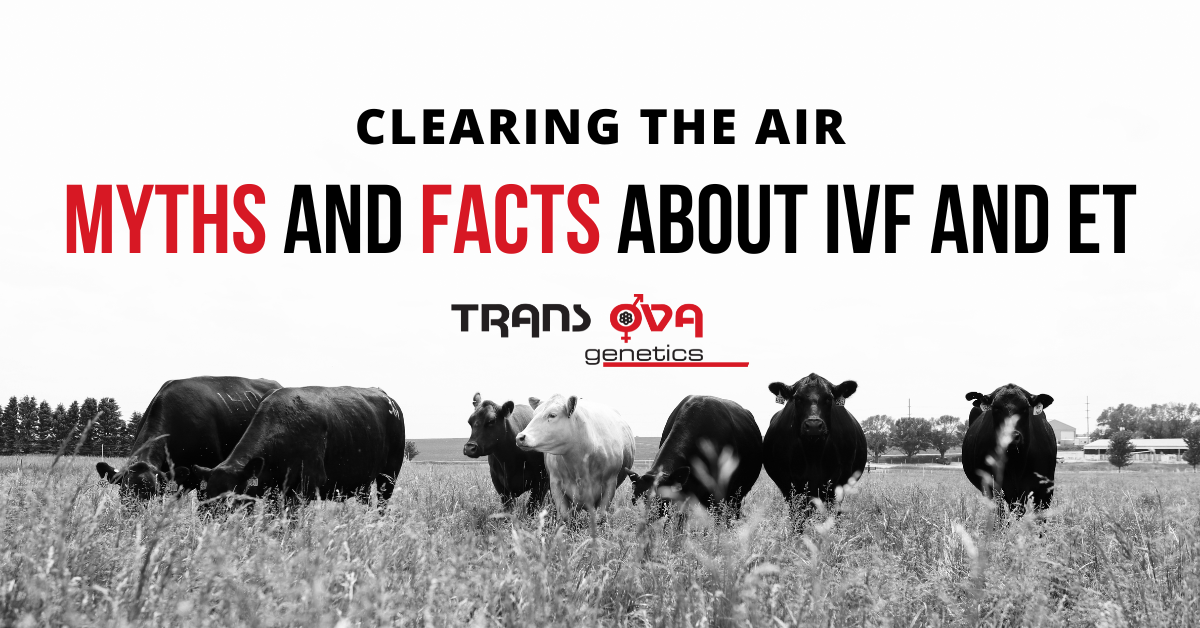Clearing the Air: Myths and Facts about IVF and ET